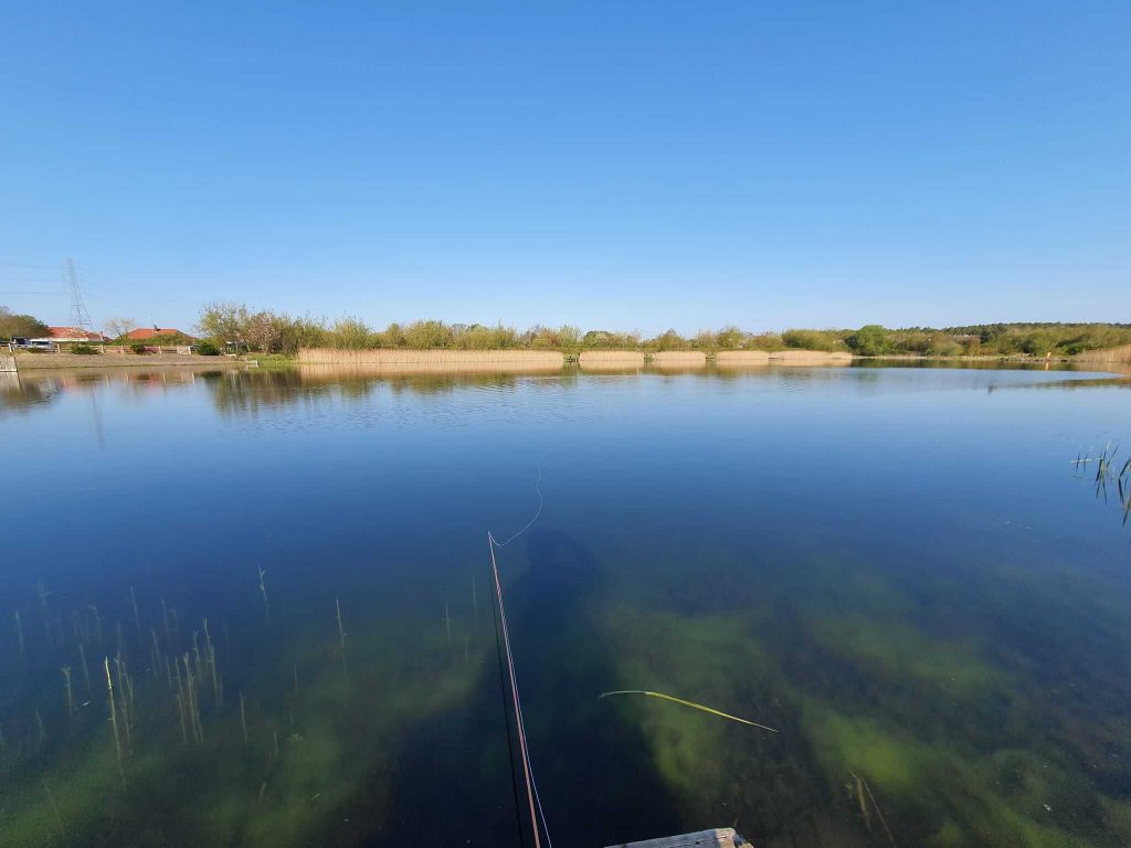Sleekburn Trout Fishery