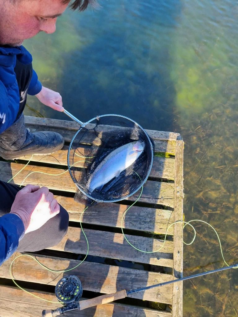 Sleekburn Trout Fishery