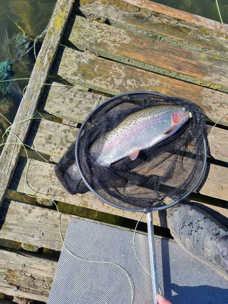 Sleekburn Trout Fishery