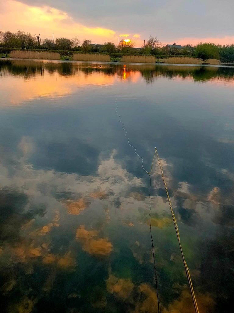 Sleekburn Trout Fishery