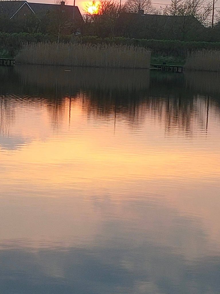 Sleekburn Trout Fishery