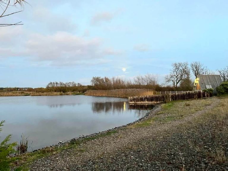 Sleekburn Trout Fishery