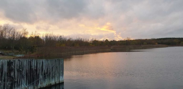 Sleekburn Trout Fishery